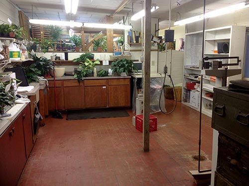 Property photo 15 - REAL ESTATE AUCTION, Crossroads Flowers